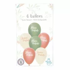 6 Ballons Imprimés JOURNEE PARFAITE 12'' 30 Cm