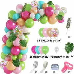Kit 95 Ballons EXOTIQUE Avec Accessoires