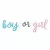 Guirlande Boy Or Girl 213 Cm