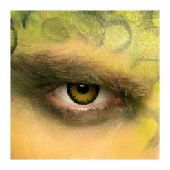 Lentilles 3 Mois Dinosaure