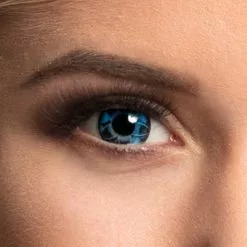 Lentilles 12 Mois Blossom