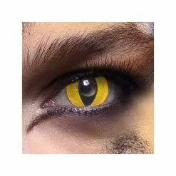 Pr. Lentilles De Semaine Chat Sauvage