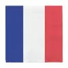 20 Serviettes En Papier France 33 X 33 Cm
