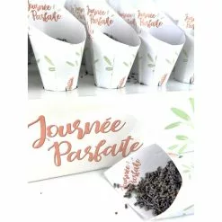 Halloween Costumes Ventes -Halloween Costumes Ventes support carton cones journee parfaite 1